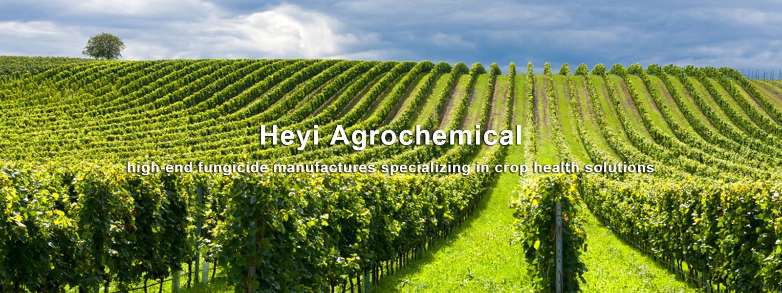 hyagro.com